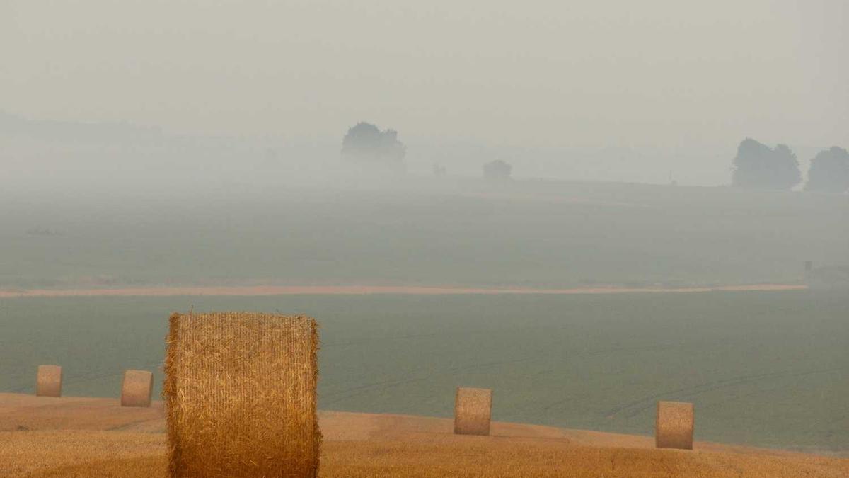 你们都碰到过什么样的骗局,损失有多大?