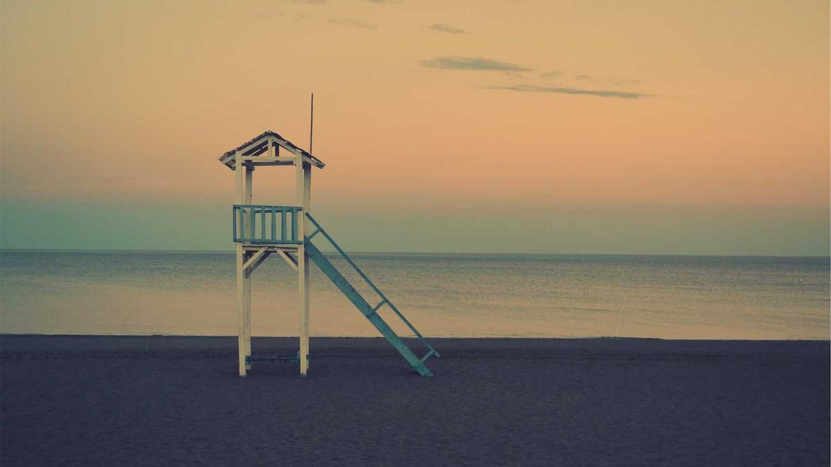 众信麦998特征特性