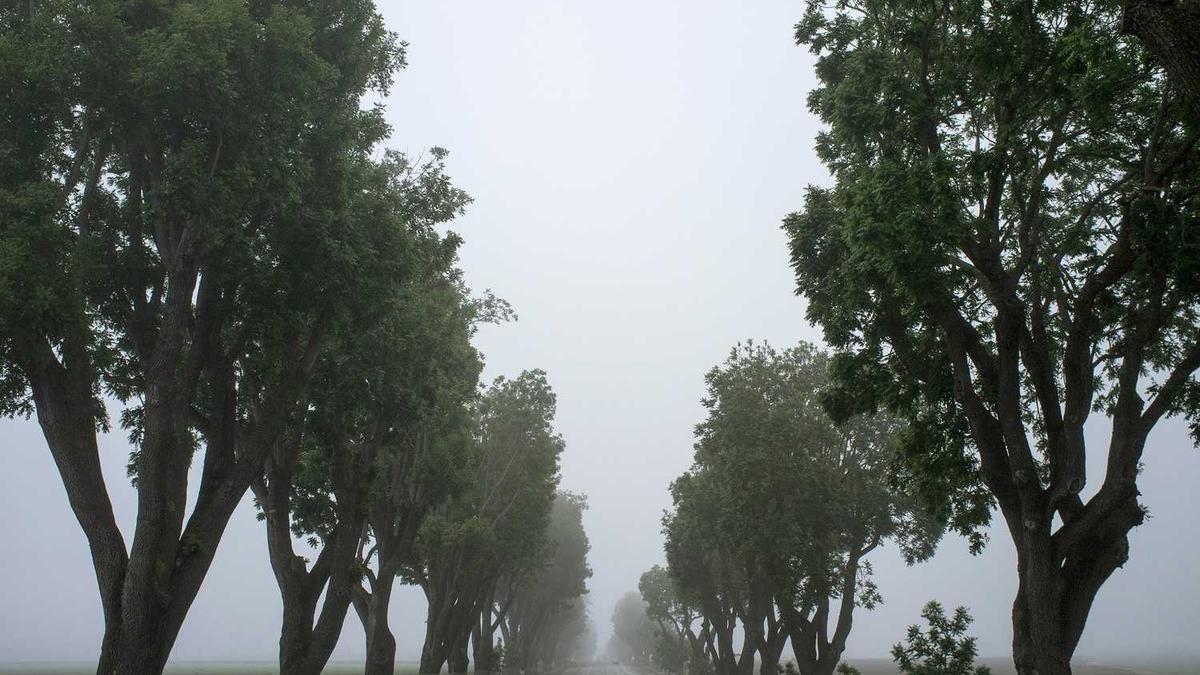 数字孪生智慧景区