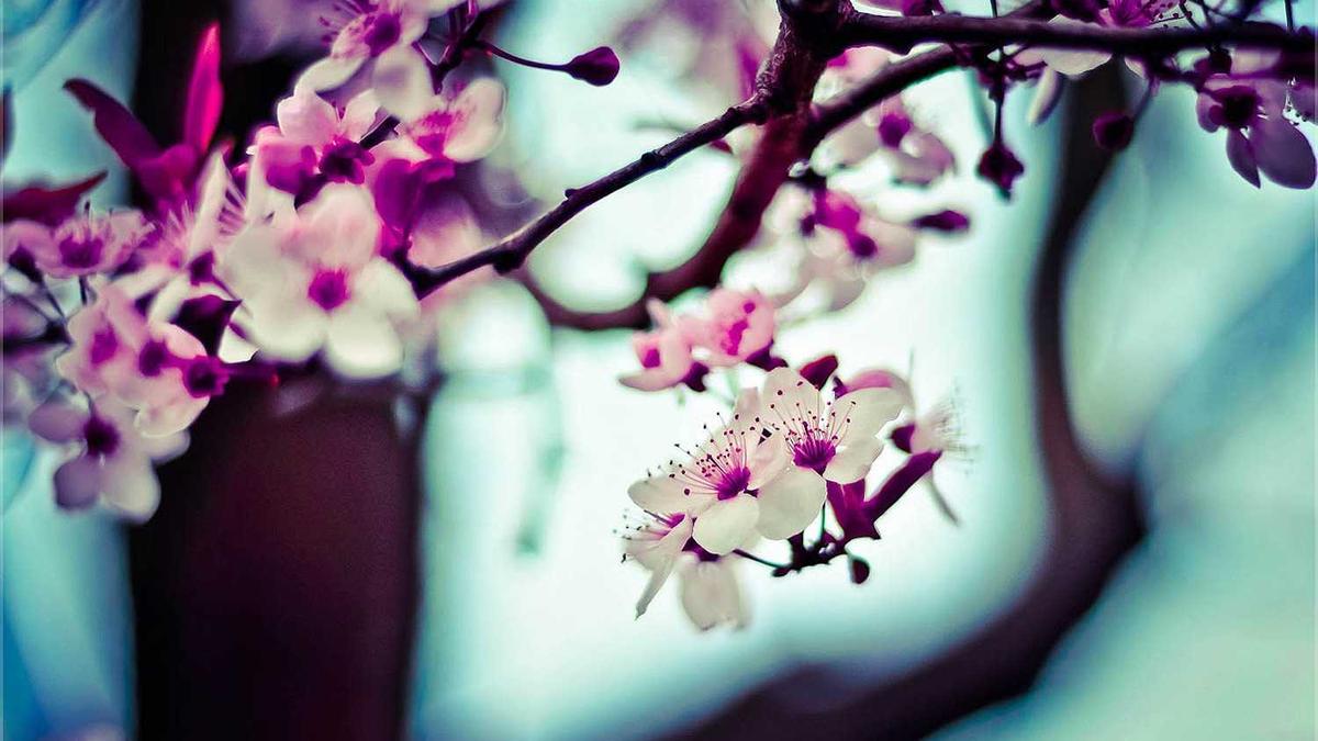 山西避暑胜地排名前十