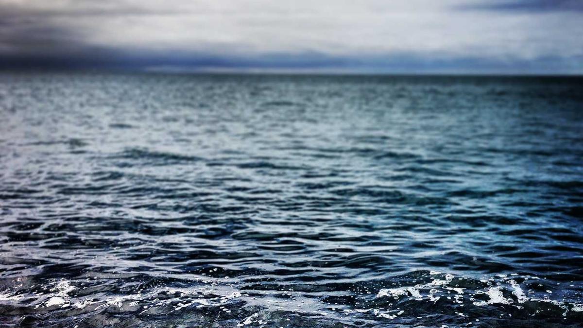 绥化学院2025各专业分数线