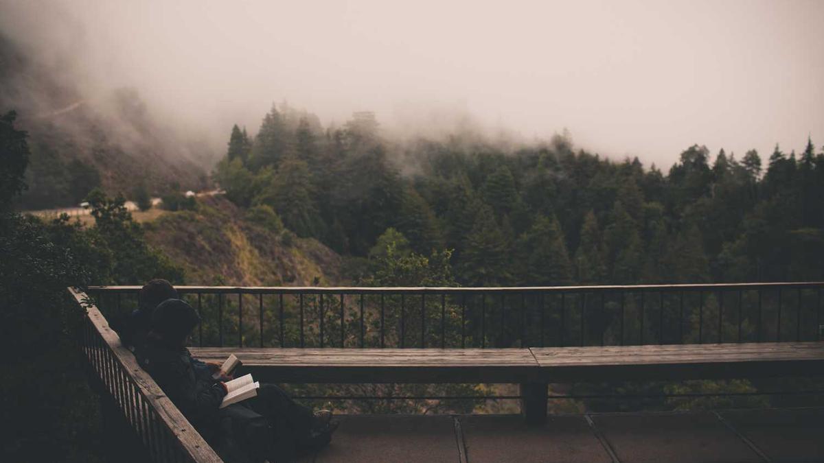 为何山西会早早的出现了霜冻现象呢?与地理位置有关吗?