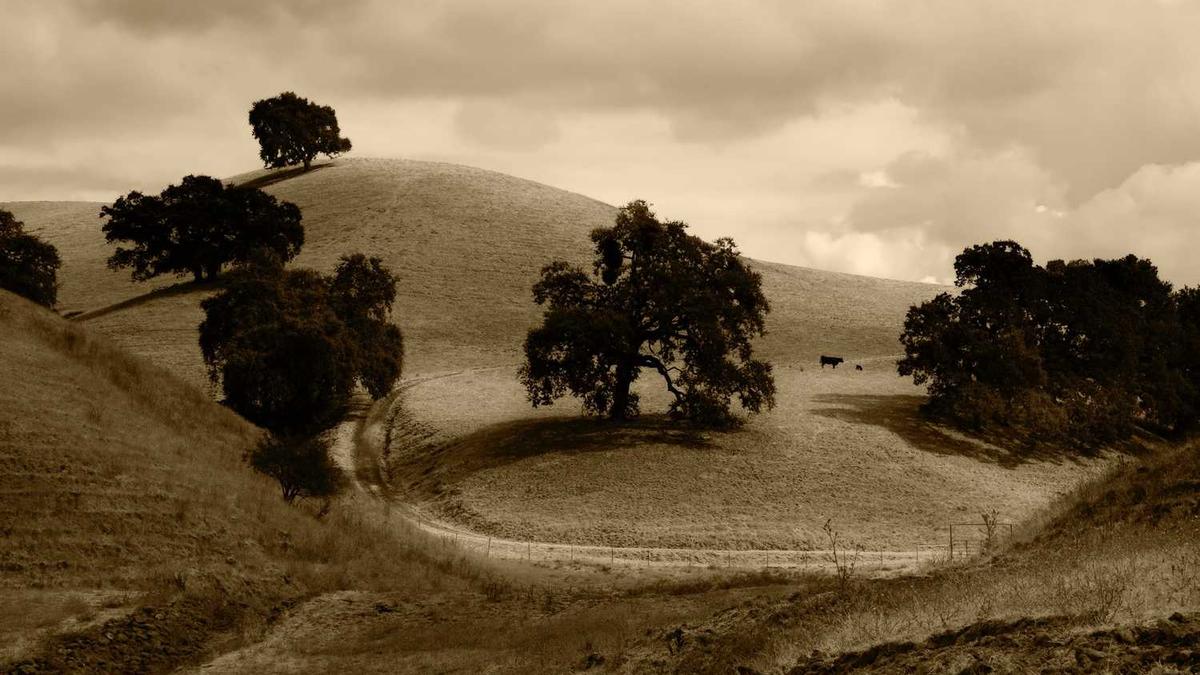五指山下躯难伸炅指什么