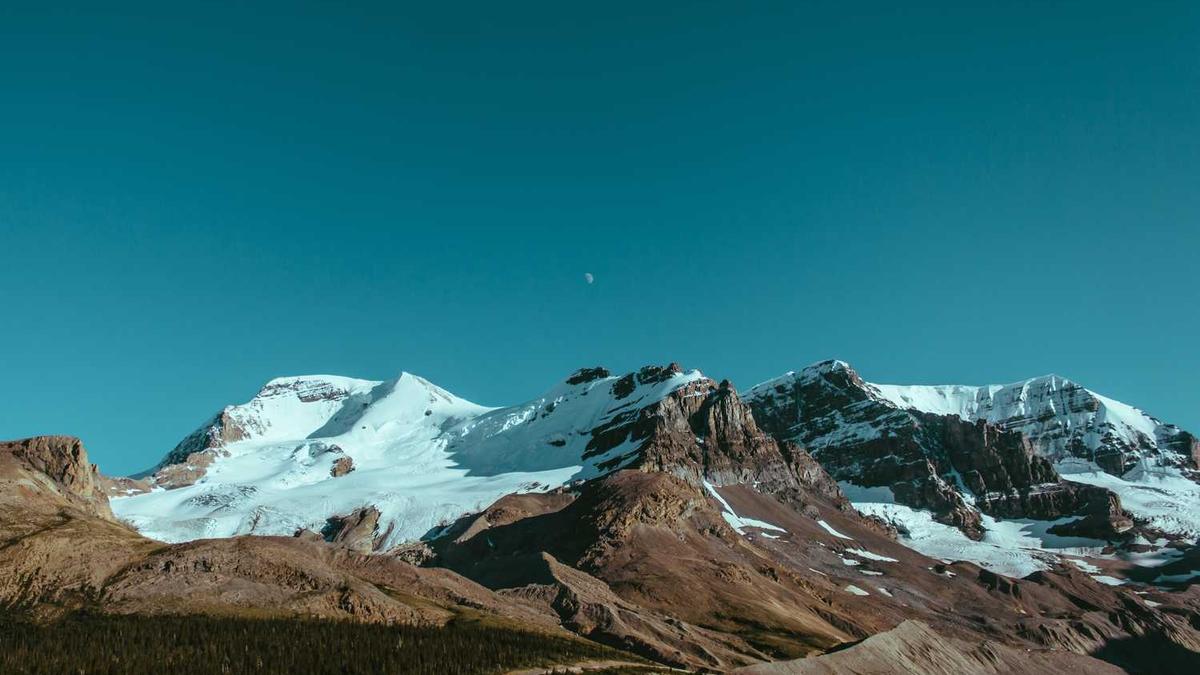 健康中国龙头股票有哪些?