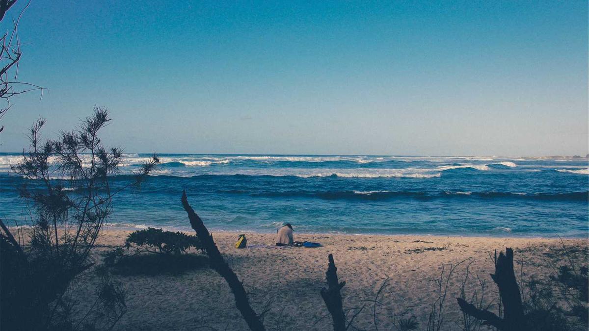 梧州六堡茶——中华药典名茶