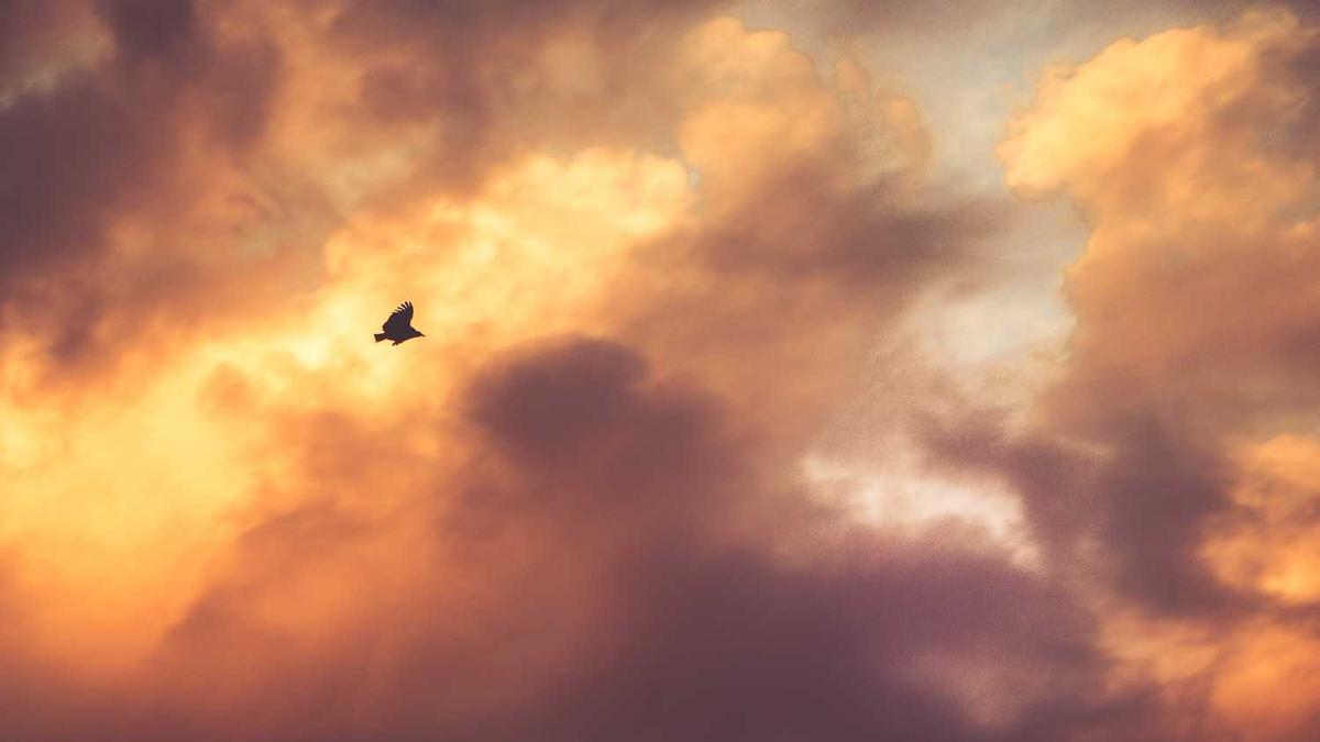 内江人事网入口