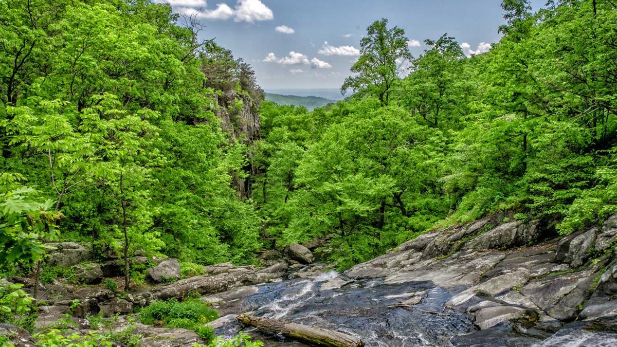 嘉兴市南湖区社区工作者待遇