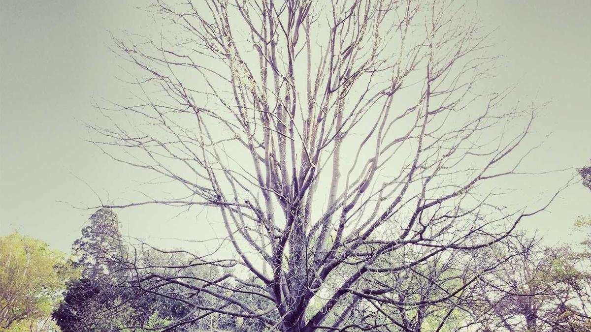 葫芦岛三联汽车配件销售有限公司怎么样?