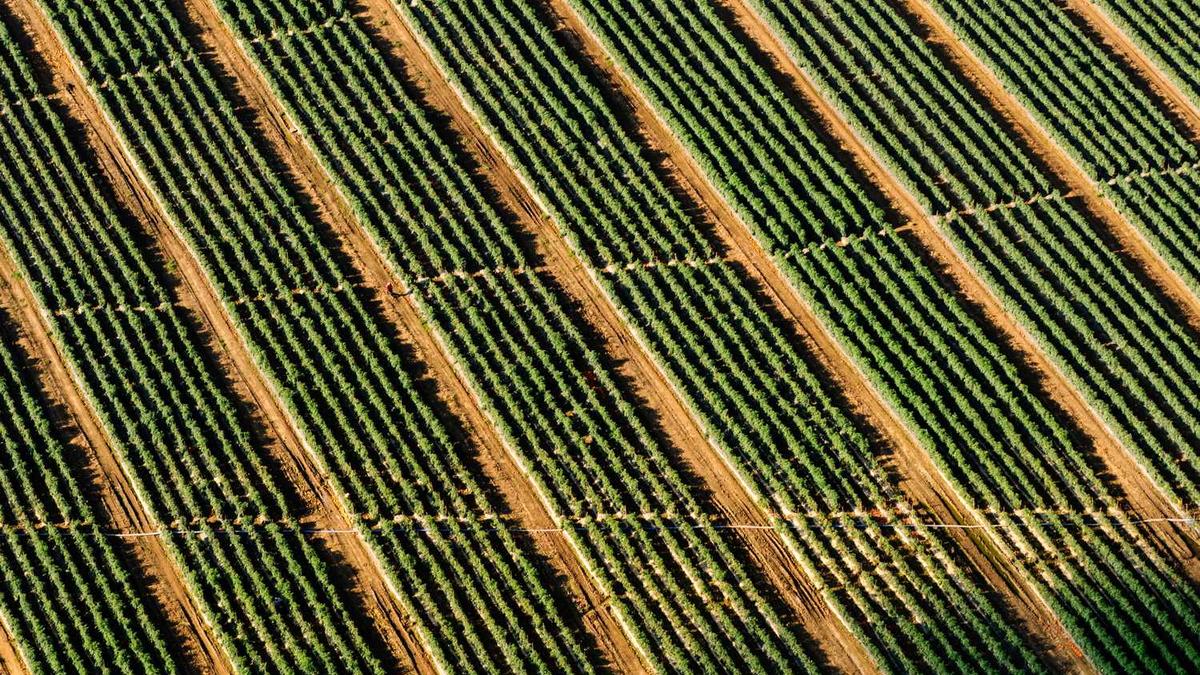 朔州建机场的意义