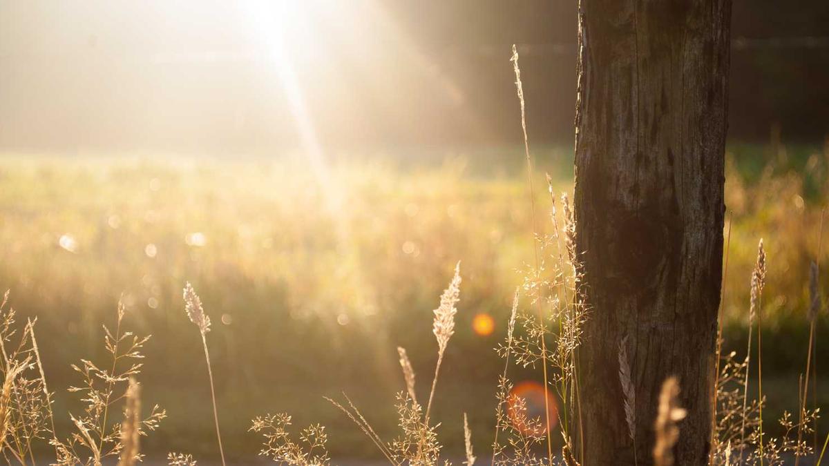 选购橡胶止水带专业生产厂家在哪里?