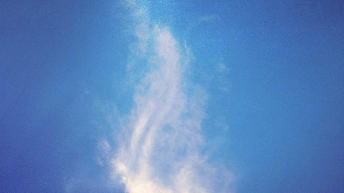 卜潍坊市民热线几个工作日回复