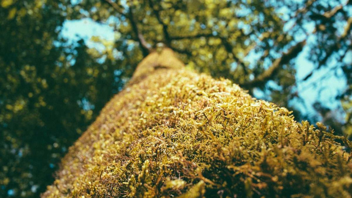 郴州天气预报10-15天
