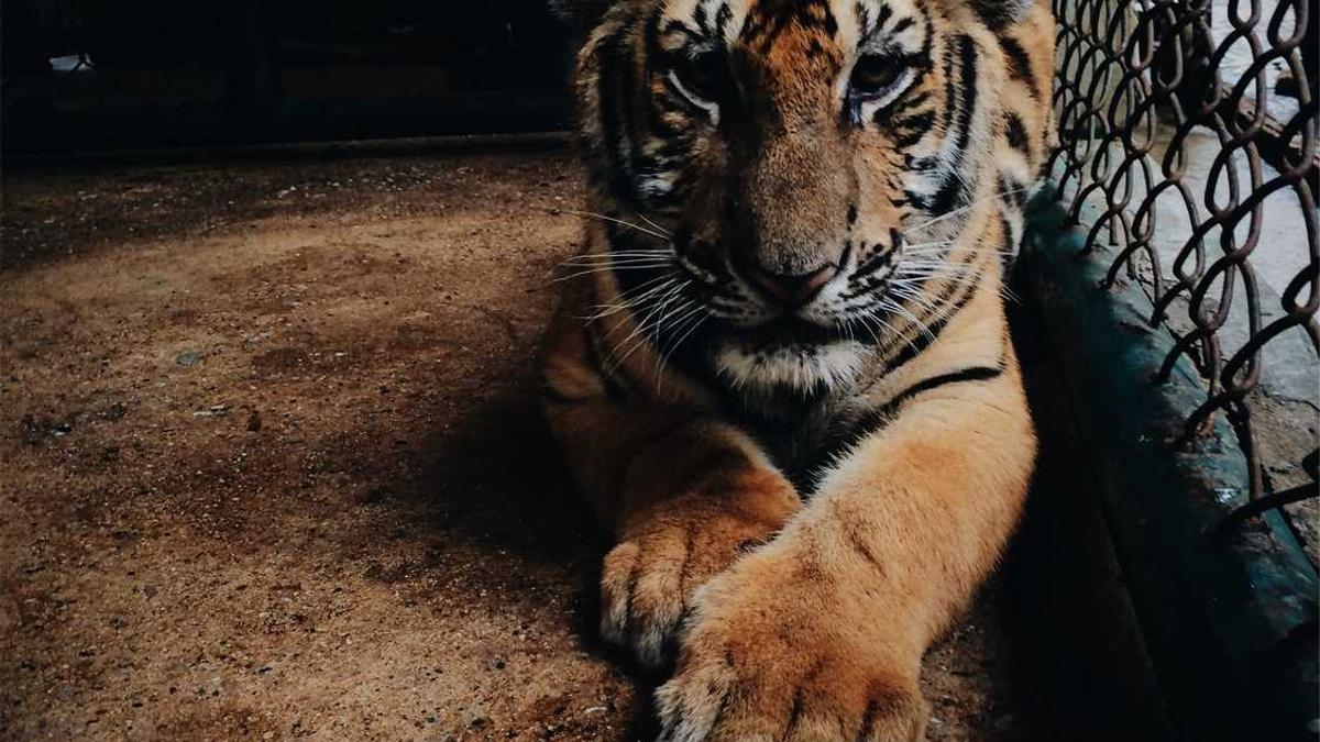 盐城市人力资源和社会保障局简介