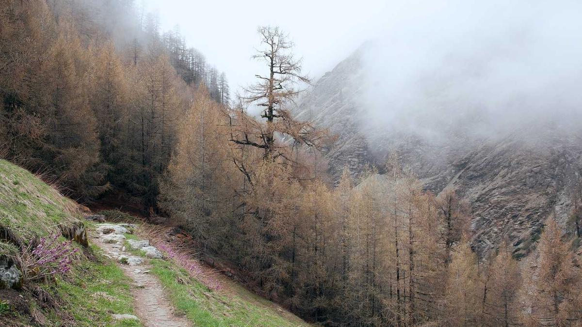 福建省莆田市现任市委领导简介