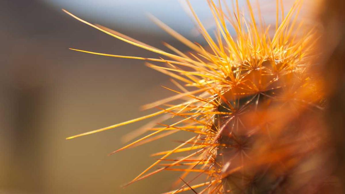 2025信阳事业单位招聘有什么岗公告