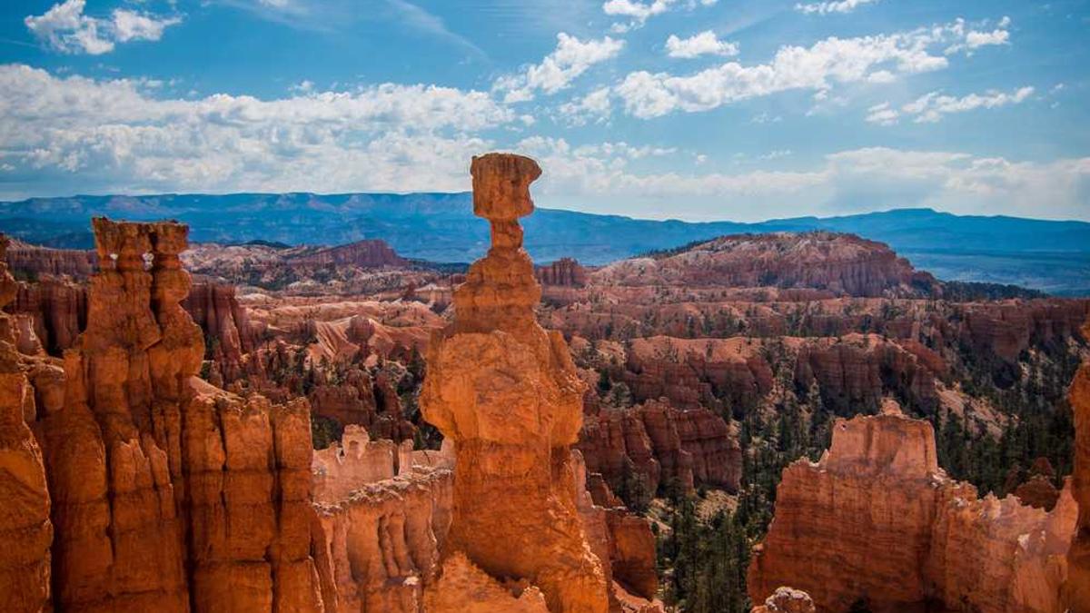 李兰祥投案后泰安有啥新政策