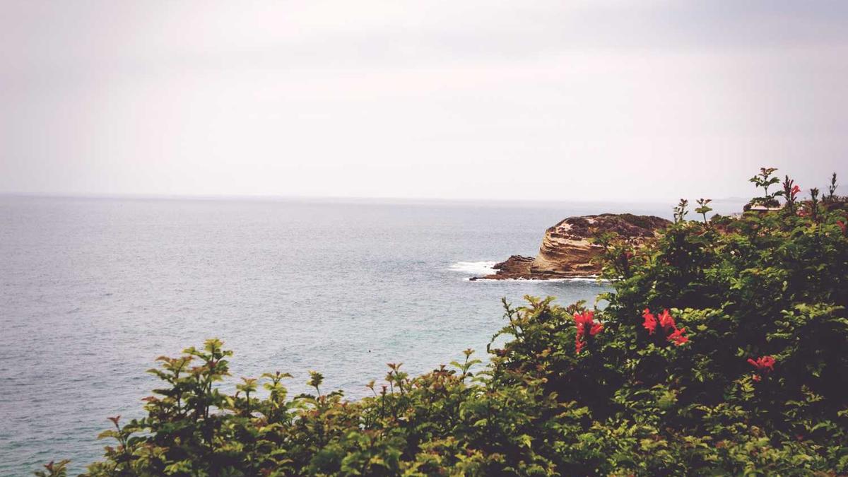 南平市人才房租金