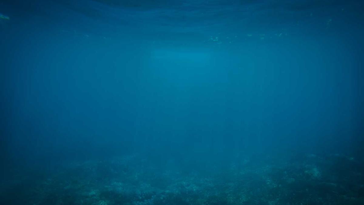 重拳!生产儿童“毒”面霜,企业负责人被判刑5年 | 第51期曝光台