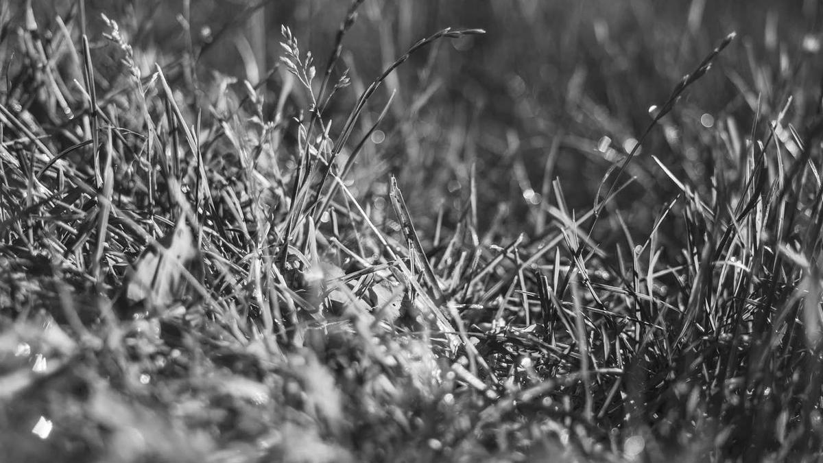 承德秋季旅游景点推荐 秋天去哪比较好玩