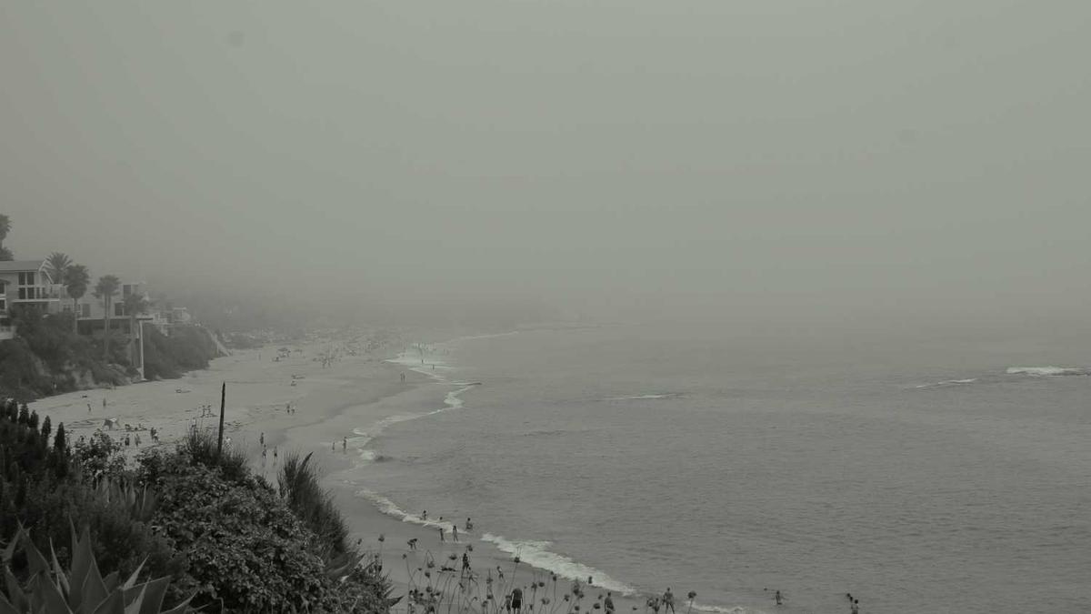 家门口种什么树最好最旺财?