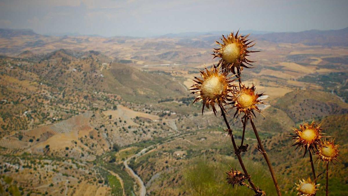 南宁市衡阳路小学怎么样?