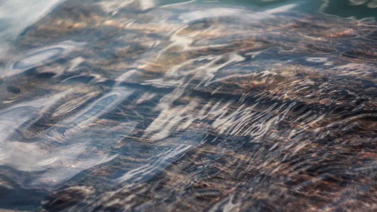 健康管理师可以从事的15个岗位