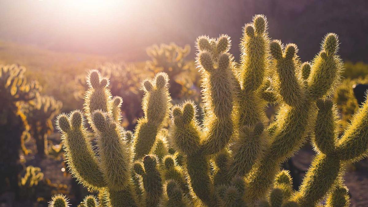 亿皇智能玩具真的吗怎么总是客服不在线呢?会不会是骗子网站