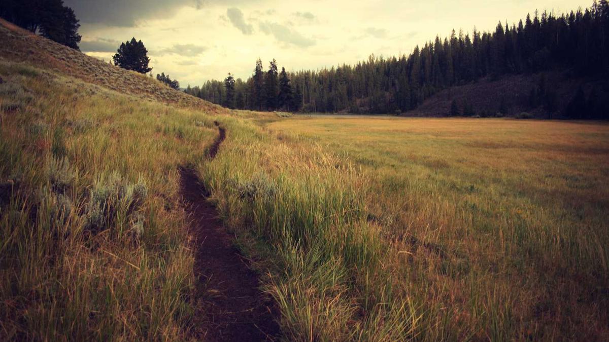 社区志愿者活动方案