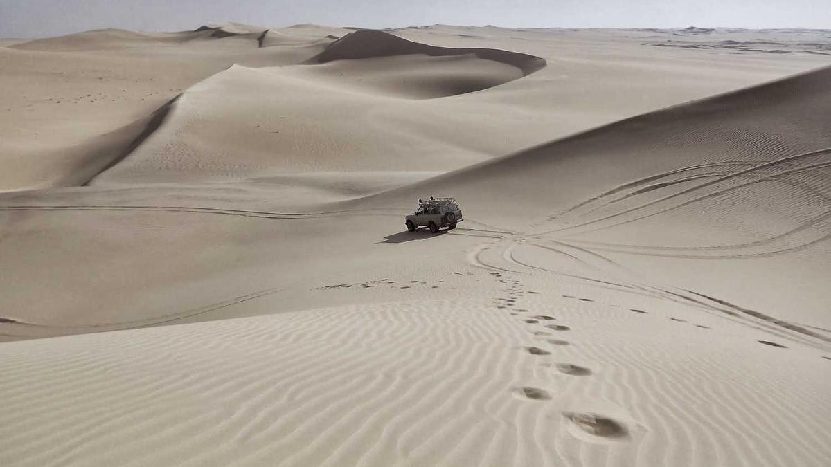 鹤壁职业技术学院学校简介