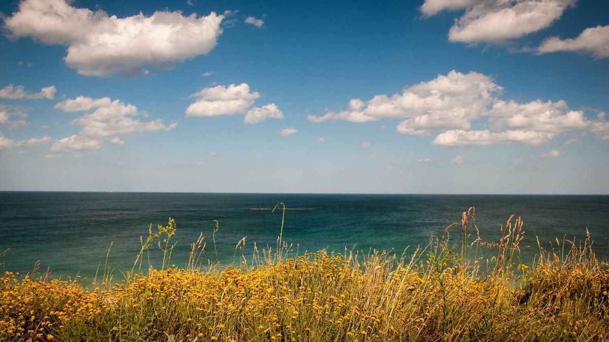 青岛海牛队员名单