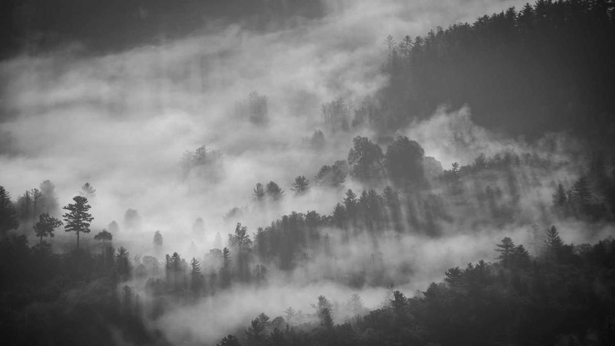 长生福至尊版什么意思