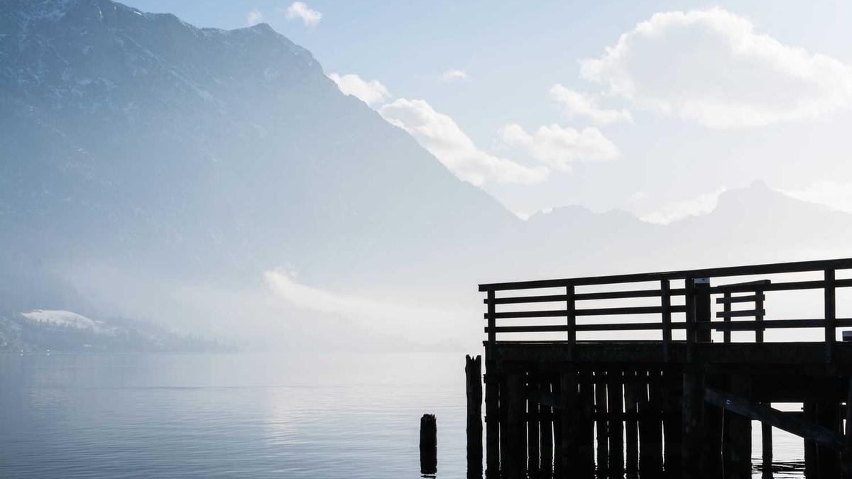 成人用品店营业执照经营范围