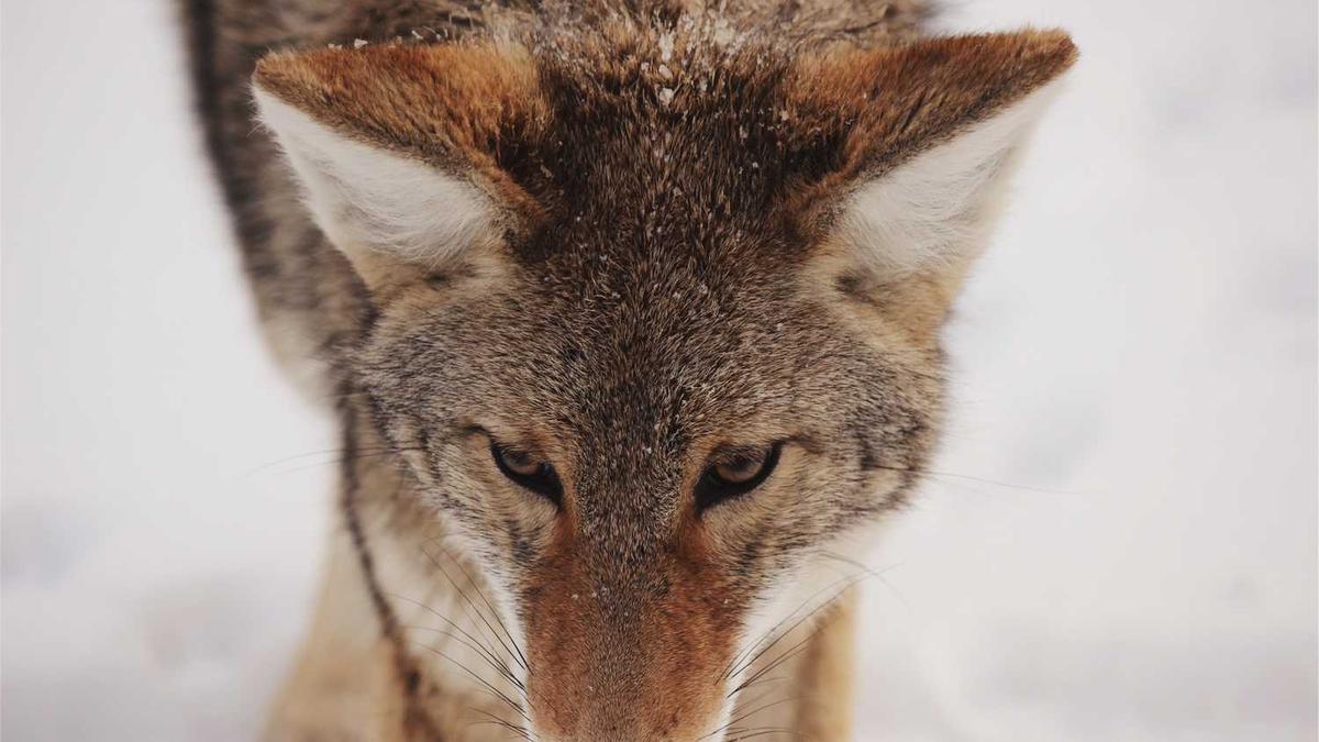 商用4年后,5G市场又迎新机遇