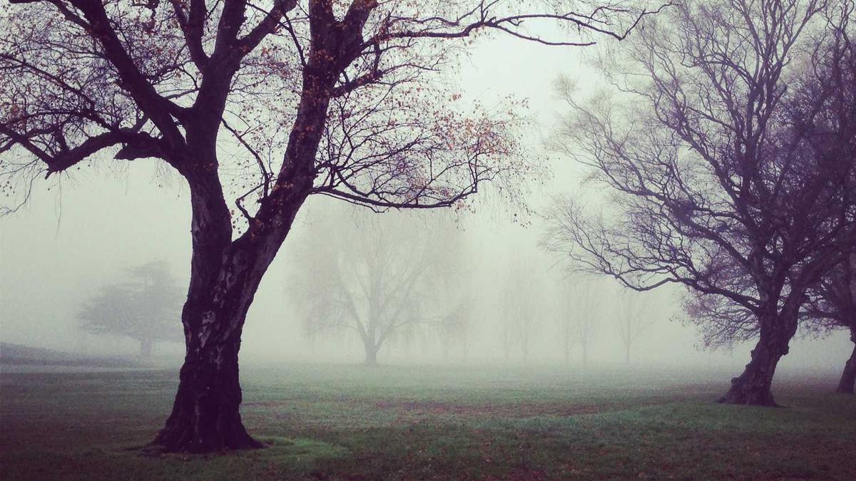 鄂州市细王冲建筑石料用花岗岩矿区范围是中铁十九局中标情况?service=b...