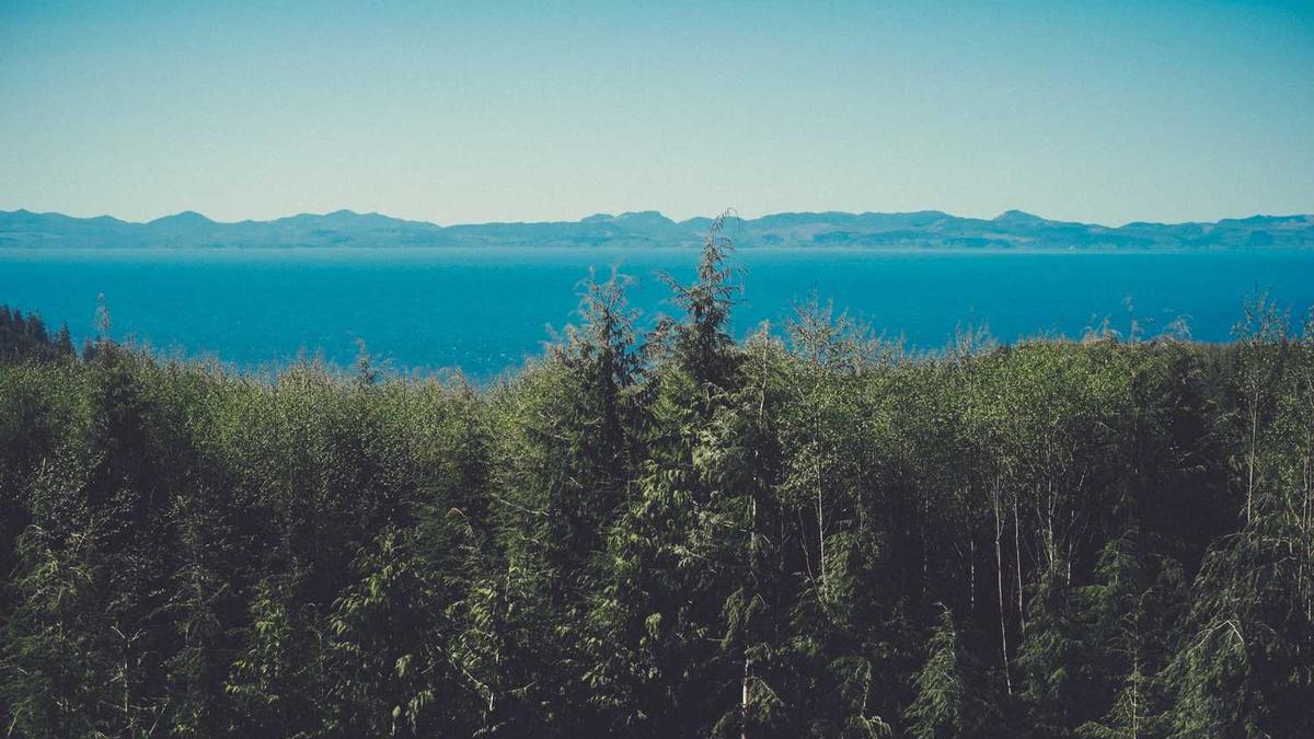 开封万岁山攻略旅游攻略