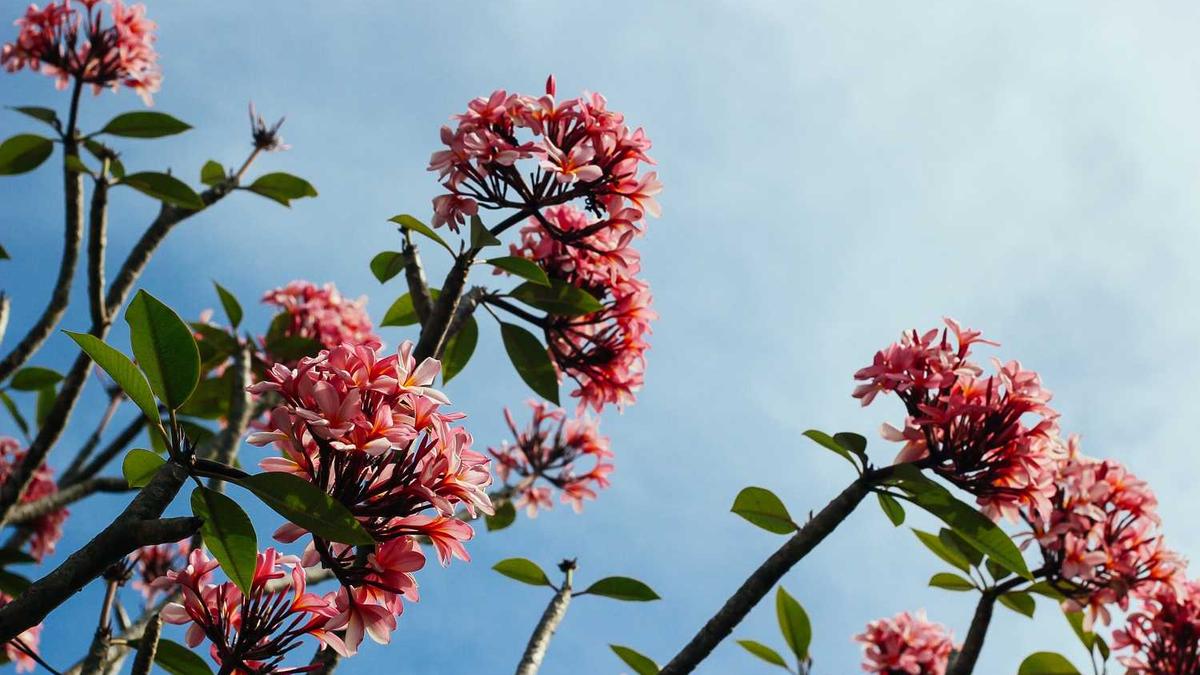 黄冈公积金2025年提取政策