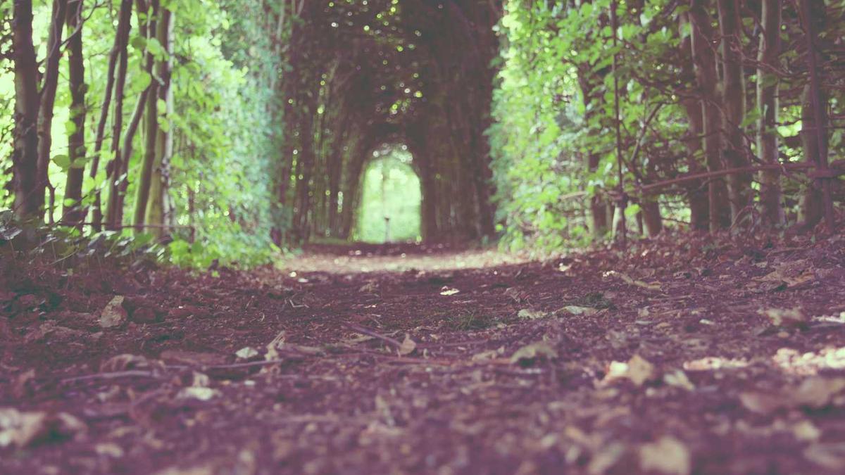 5月8日10时26分吉林松原市长岭县发生3.6级地震