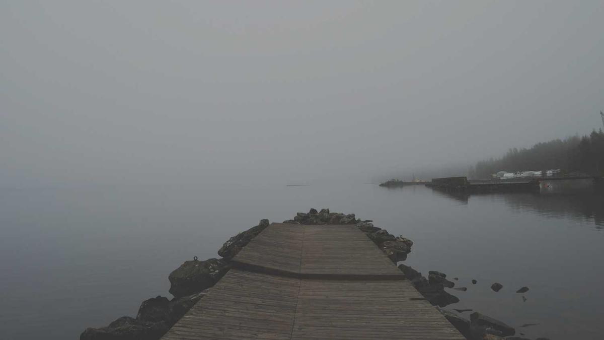 猎户座流星雨来了 要如何观测呢 许愿这事靠谱吗