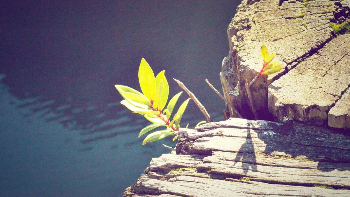 猎户座流星雨10月21日迎来极大 最佳观赏时间