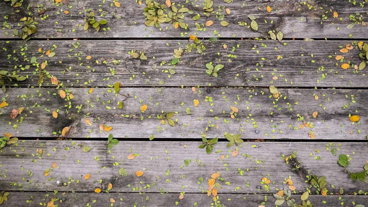 大学生救老农民值不值得辩论赛正方?