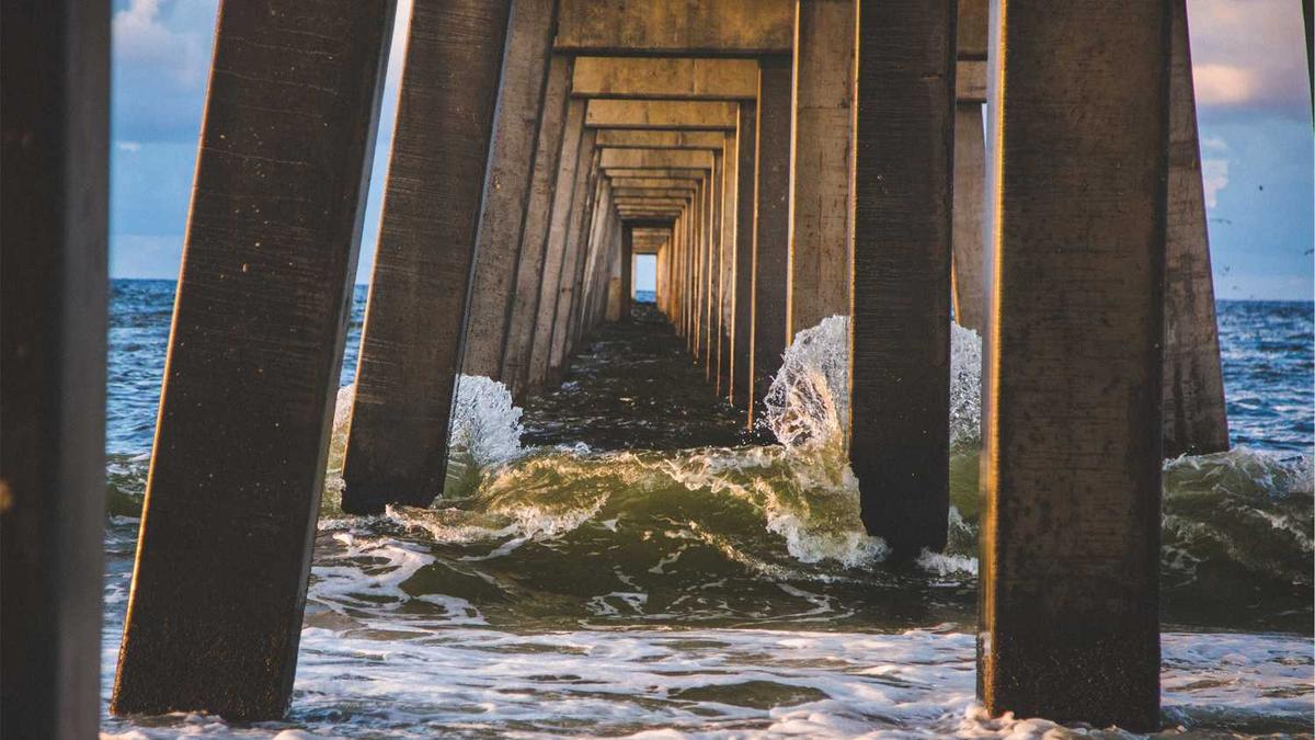 信阳红十字会是什么性质的单位