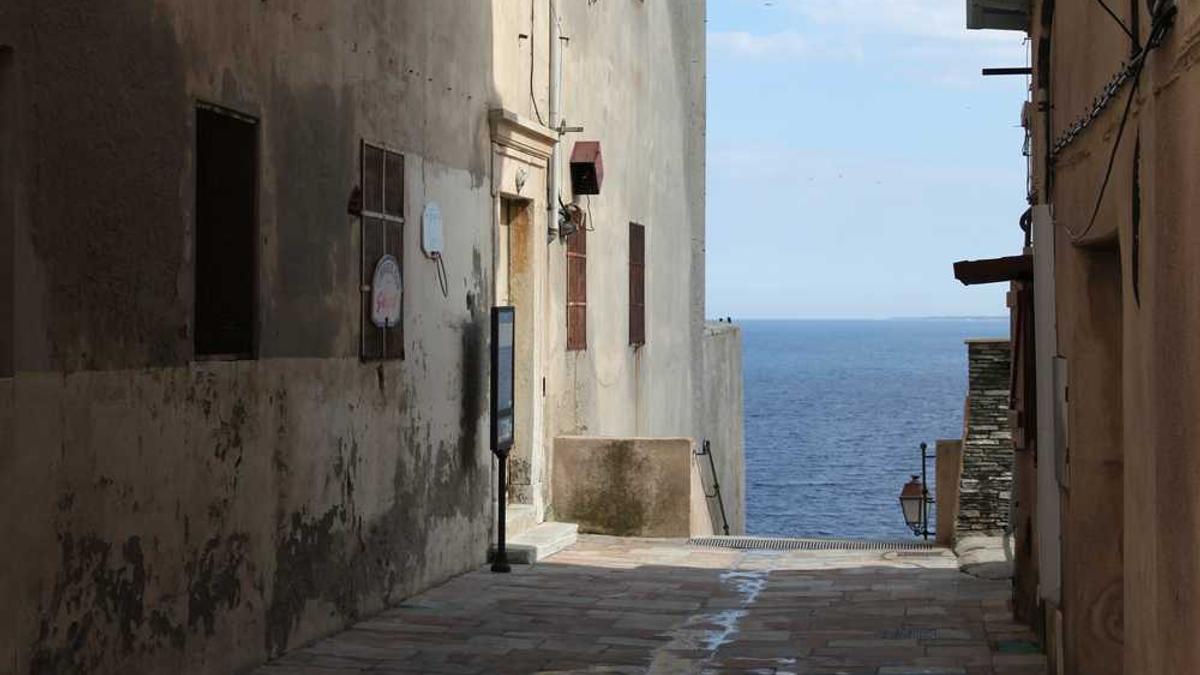 牛羊肉市场调研报告在哪找