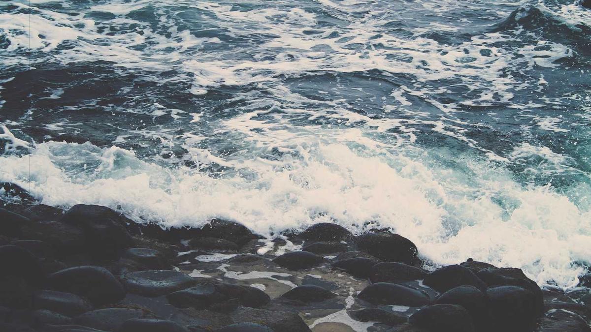 构筑网络安全之盾 护航数字经济发展 融信天下合作伙伴大会即将启幕