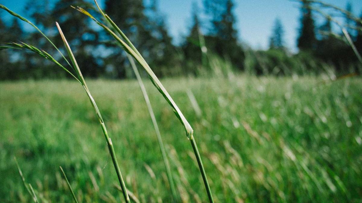 2024ESG全球领导者大会即将启幕!推荐书单抢先看