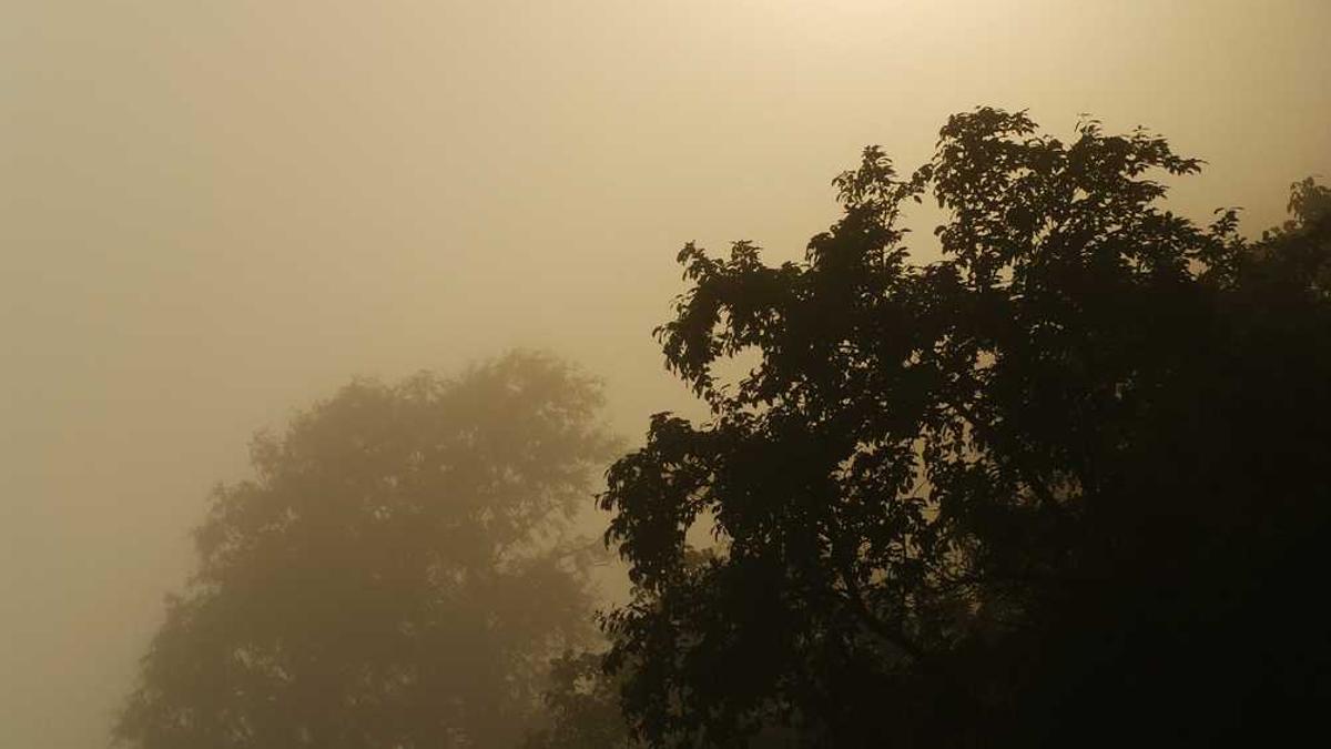 信阳学院的住宿条件怎么样?