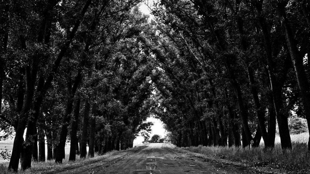 北京最常见的天气