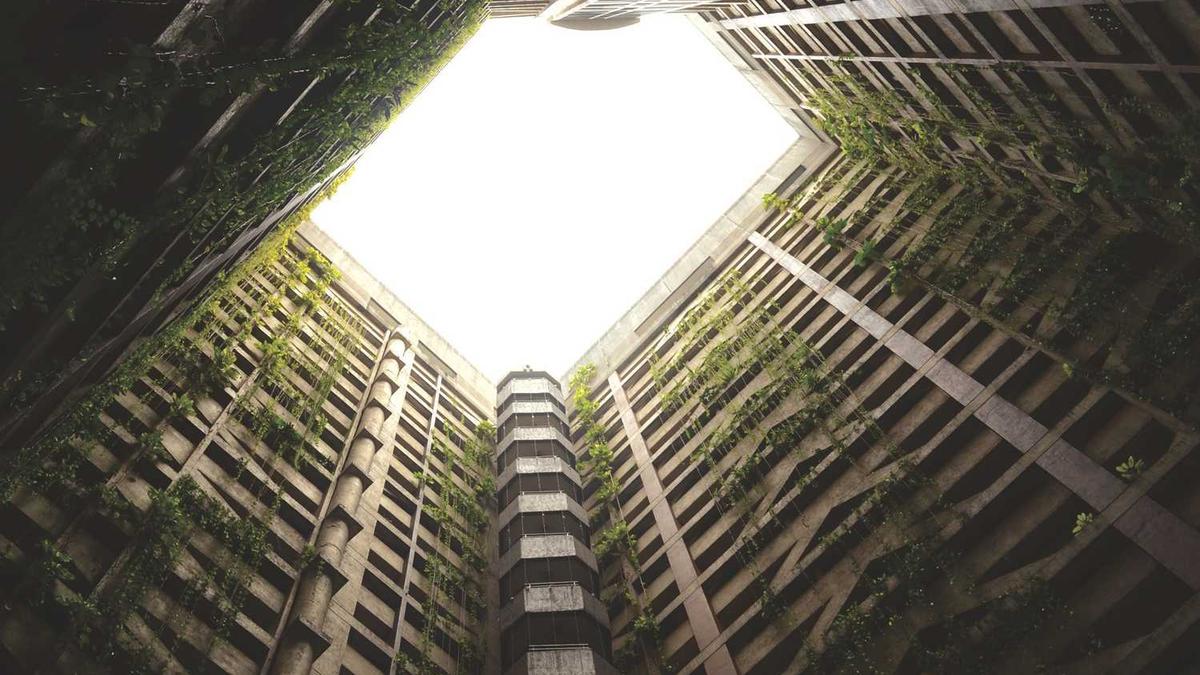 前门小学所授荣誉