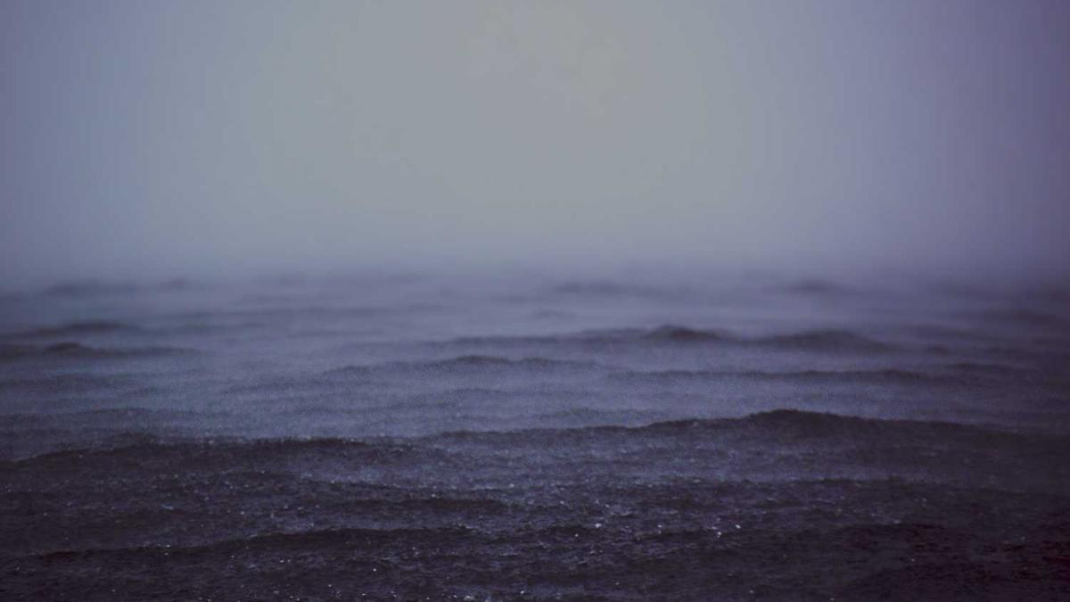 麻城有哪些私立学校