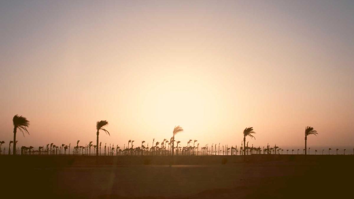 北京小客车指标什么时候公布结果