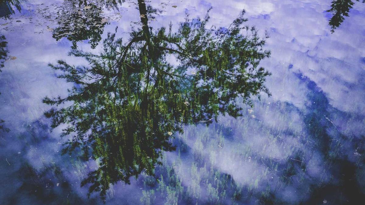 杜乾乾现在在哪个公司工作